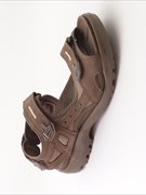 Ecco Offroad Sandal. 069564-12559